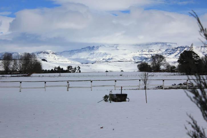 Karmichael Farm Pension Himeville Buitenkant foto