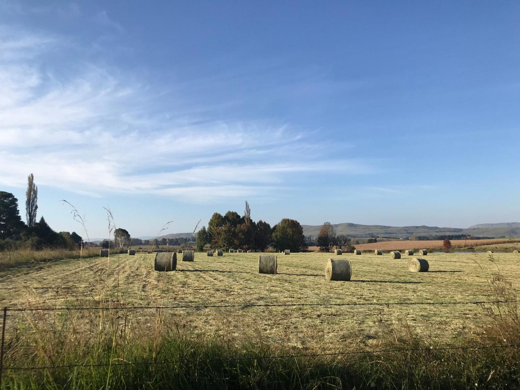 Karmichael Farm Pension Himeville Buitenkant foto